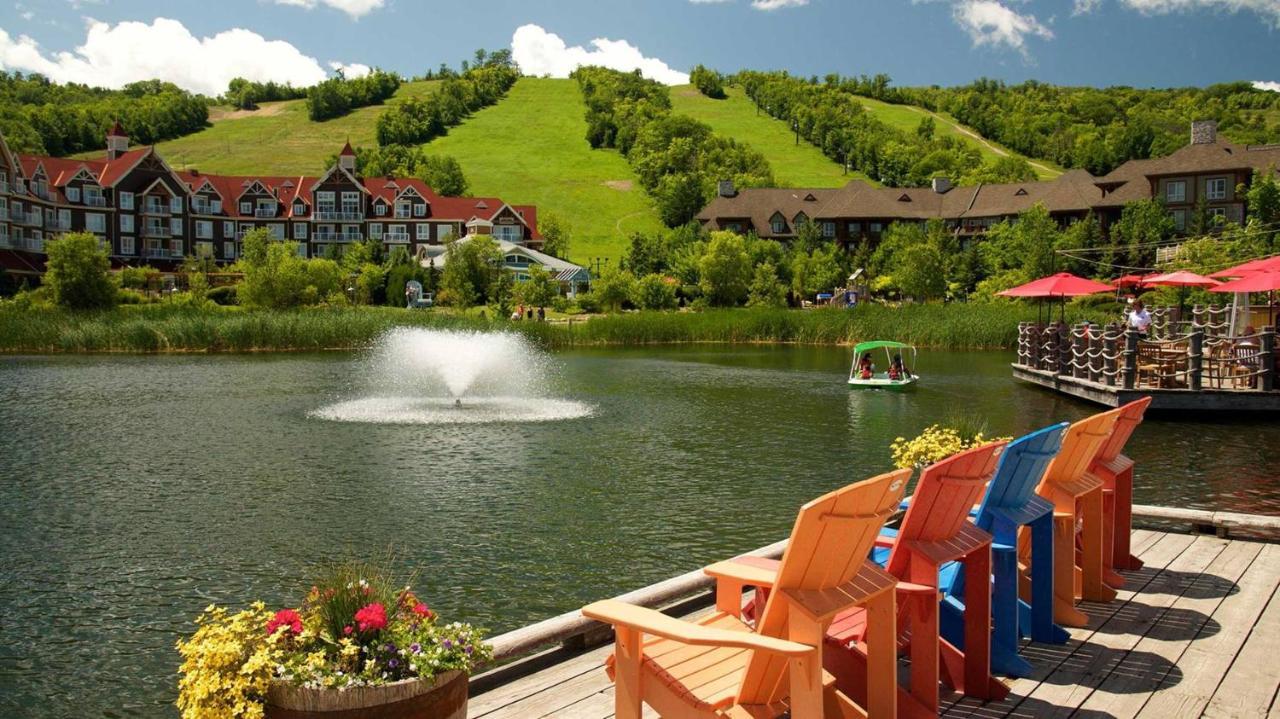 Stunning Townhouse - 3 Bdrm Blue Mountain Village Sauna! Blue Mountains Εξωτερικό φωτογραφία